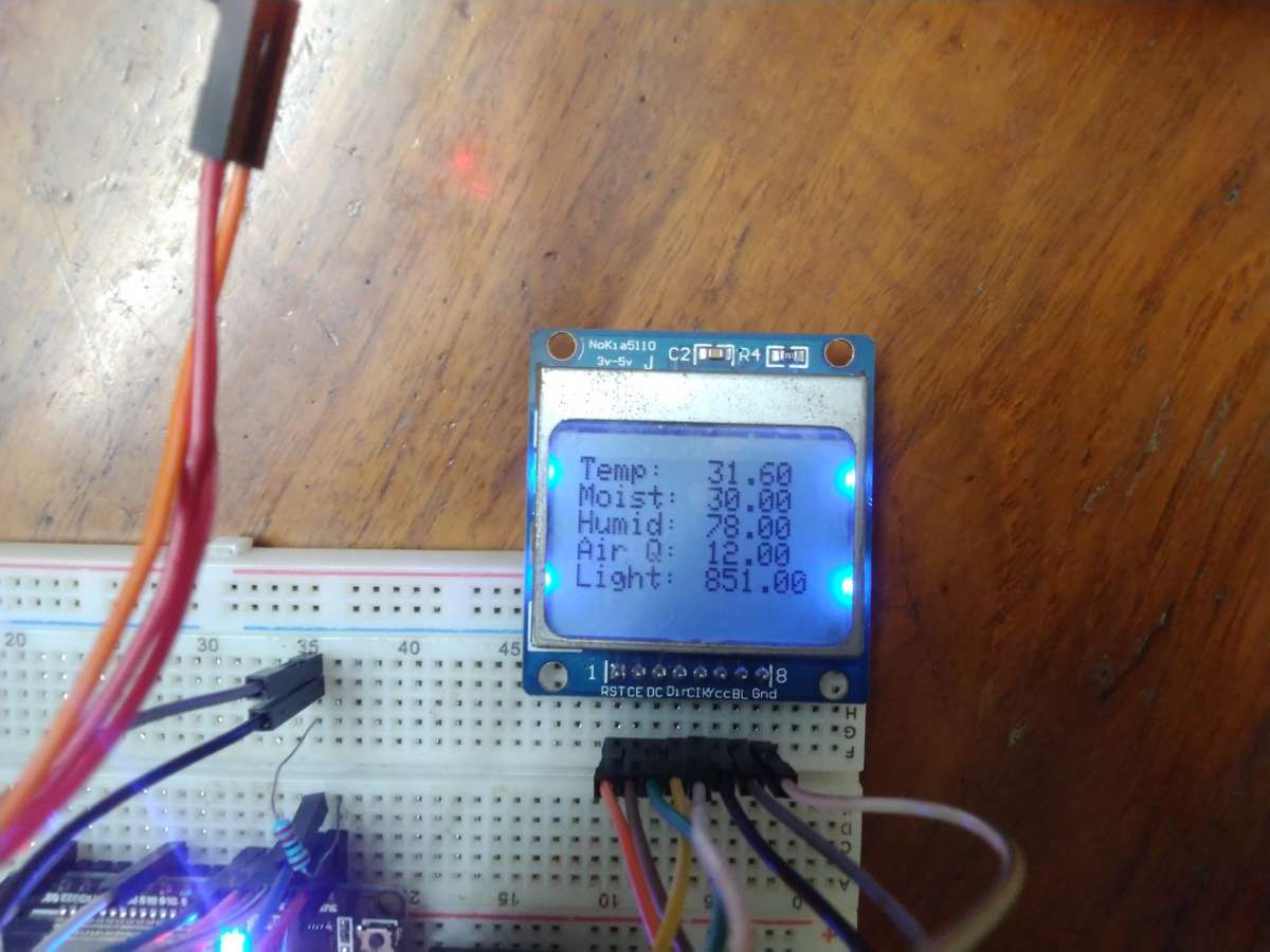display image